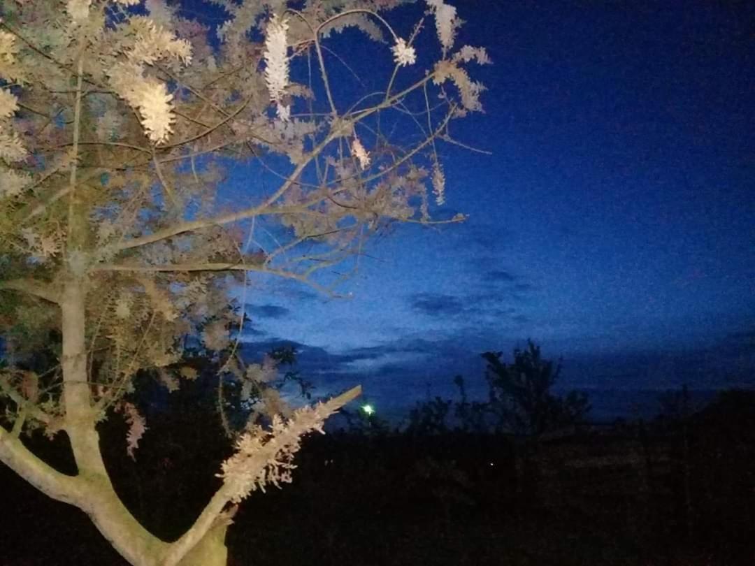 Hosteria El Tisaleno Ambato Εξωτερικό φωτογραφία