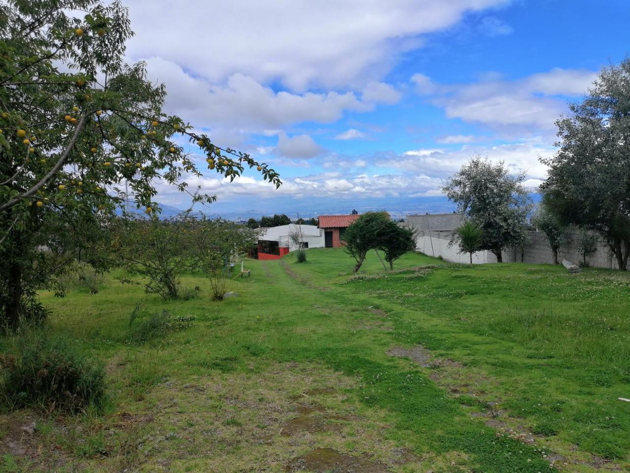 Hosteria El Tisaleno Ambato Εξωτερικό φωτογραφία